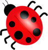Ladybug Top View Clip Art